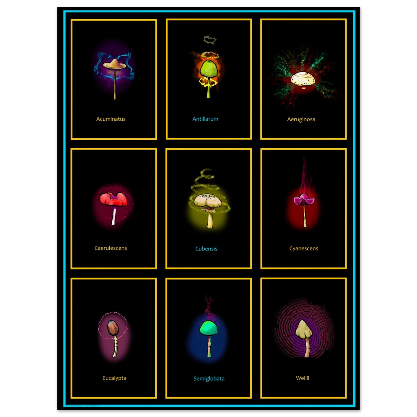 0d6bec03-b3f0-4122-b7a2-f97c33bdb682