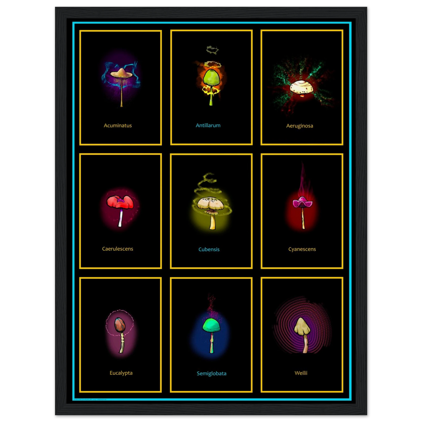 18c1913d-5c2d-4e35-96ef-8f9630dec58b