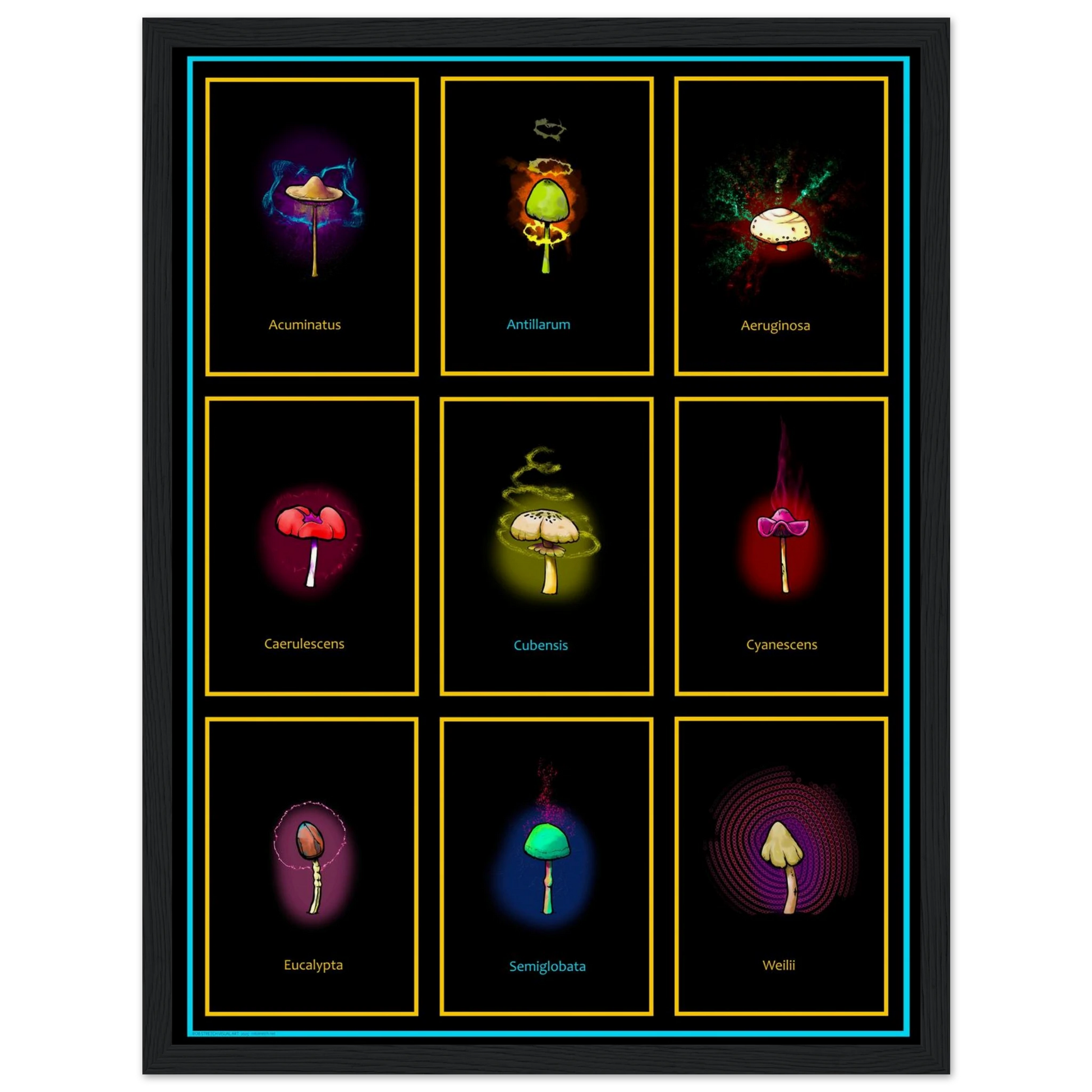 18c1913d-5c2d-4e35-96ef-8f9630dec58b