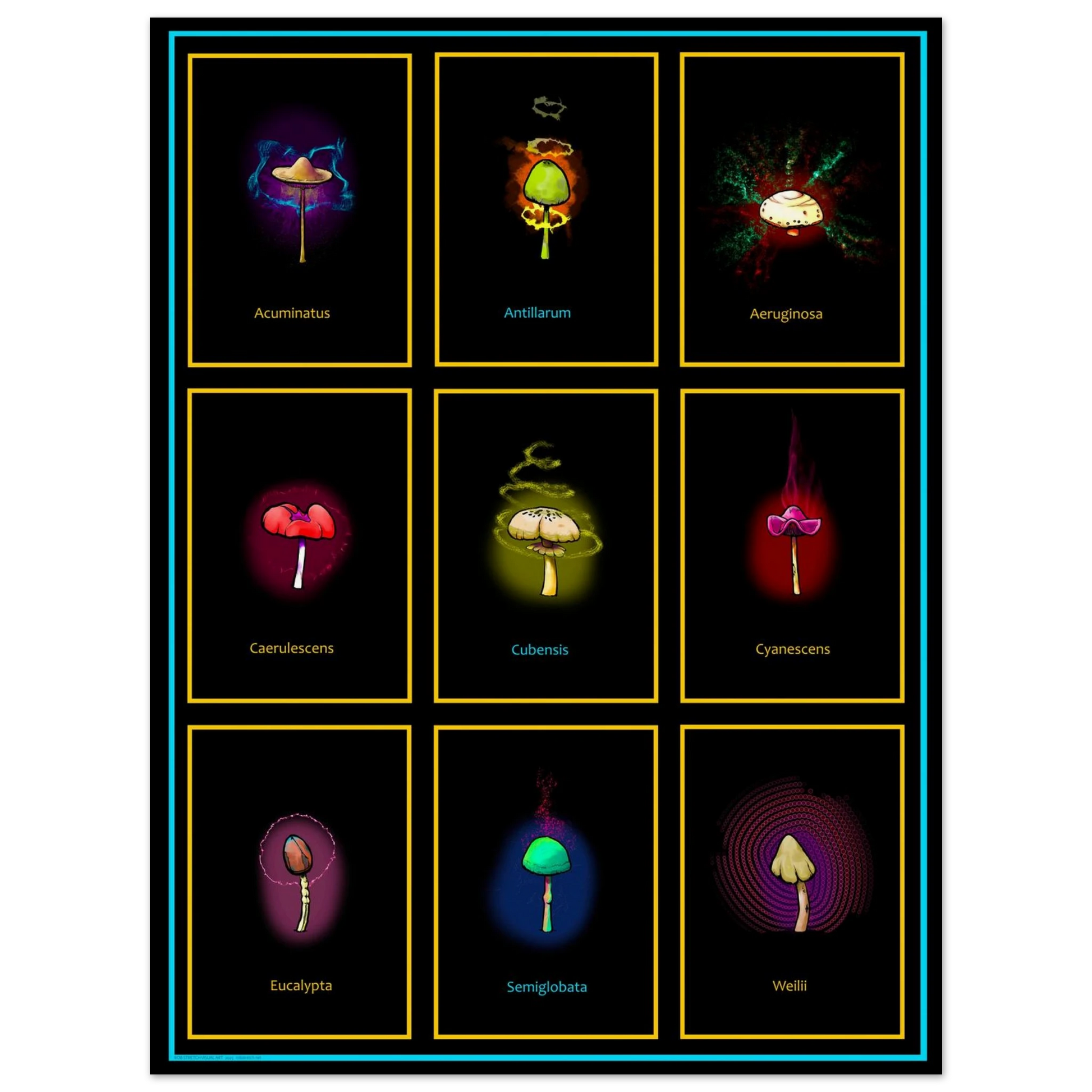 36e22650-e947-4a9f-a204-d7c8c13e0015