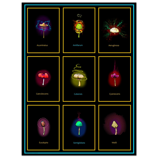 36e22650-e947-4a9f-a204-d7c8c13e0015