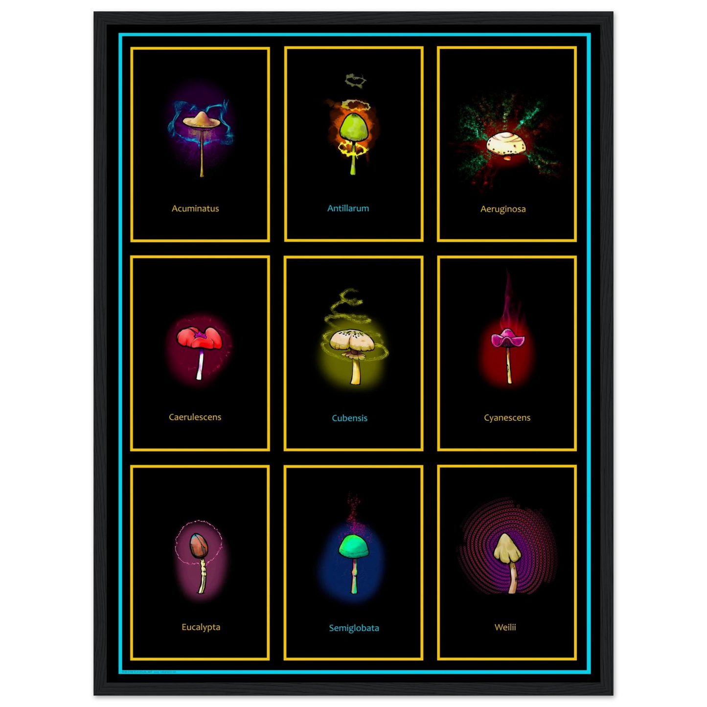 84ad8d44-5fde-43bf-b26d-926efc335512