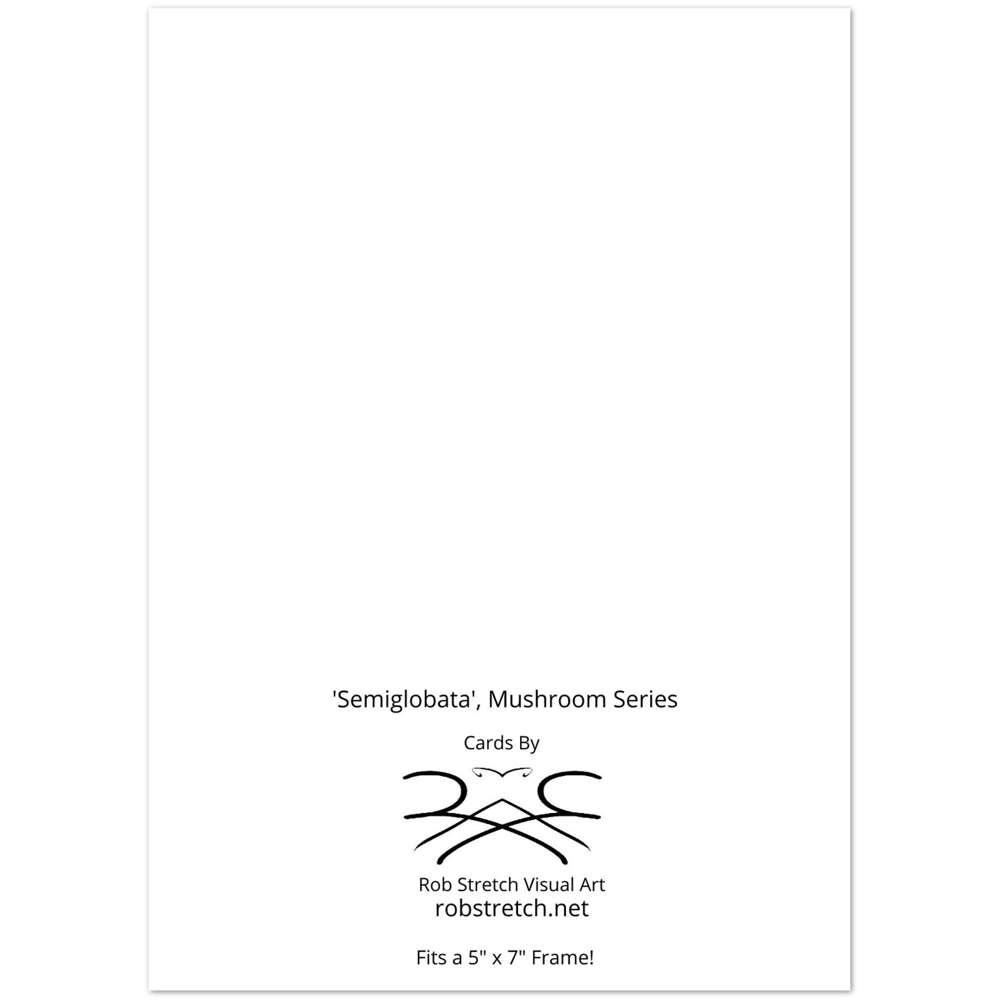 ce3cffa6-0cb4-4483-a8ea-040b9989ae32